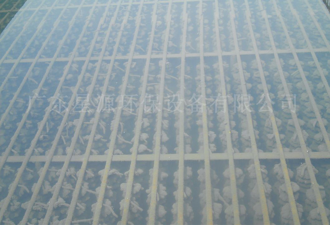 接觸氧化池 接觸氧化池