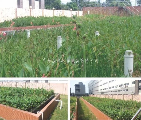 農(nóng)村污水來源及特點(diǎn)，農(nóng)村污水處理方法分享